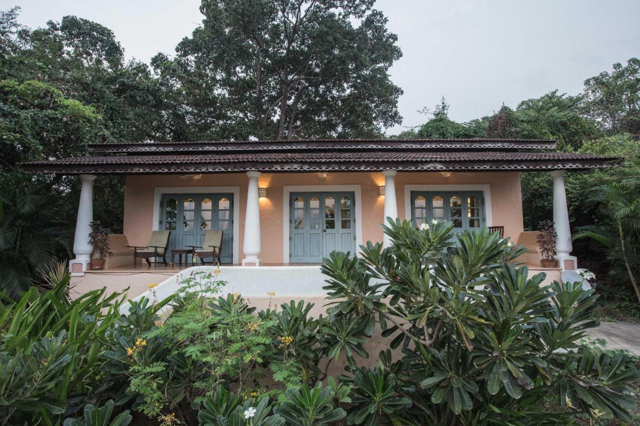 Wildflower Villas - All Villa Hotel, Family Run แคนโดลิม ภายนอก รูปภาพ