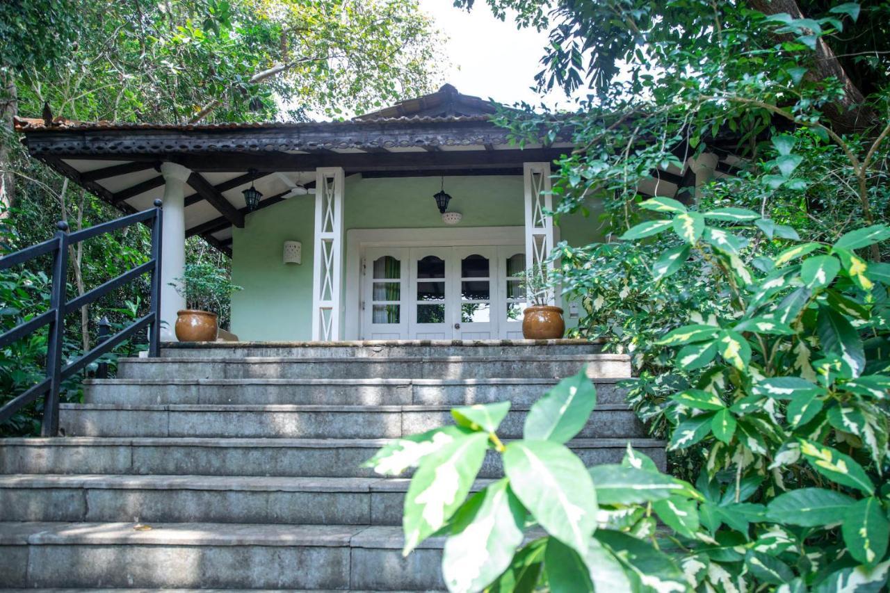 Wildflower Villas - All Villa Hotel, Family Run แคนโดลิม ภายนอก รูปภาพ