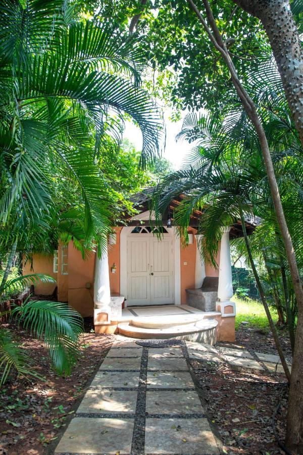 Wildflower Villas - All Villa Hotel, Family Run แคนโดลิม ภายนอก รูปภาพ