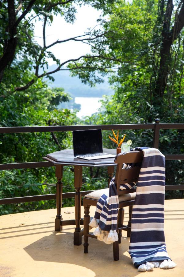 Wildflower Villas - All Villa Hotel, Family Run แคนโดลิม ภายนอก รูปภาพ