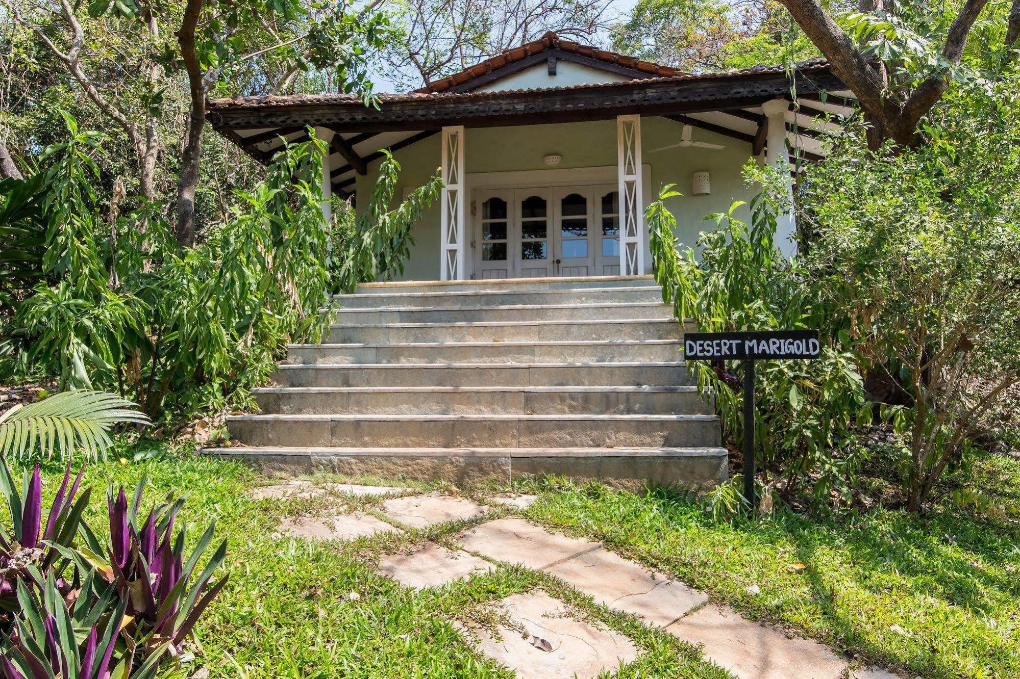Wildflower Villas - All Villa Hotel, Family Run แคนโดลิม ภายนอก รูปภาพ